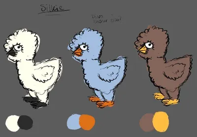 Silkie Chicken Silkie chicken variant
